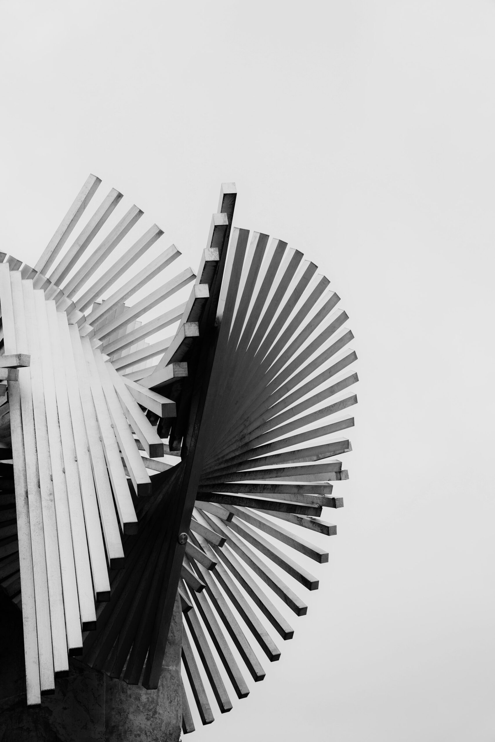 Pièce sculptée en noir et blanc